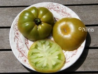 Tomate evergreen op-2.jpg