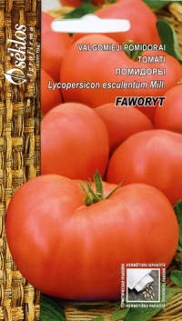 Tomate faworyt-2.jpg