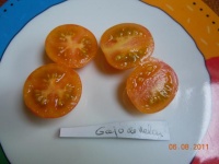 Tomate gajo de melon-2.jpg