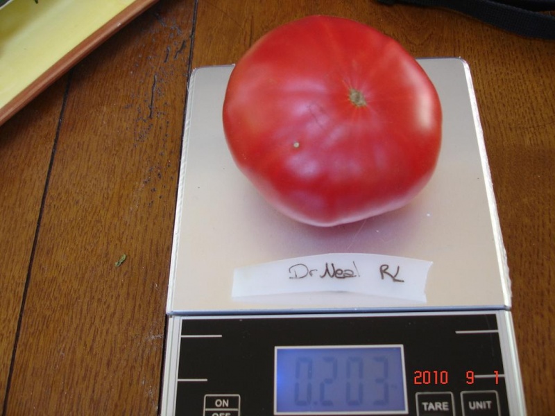 Fichier:Tomate general grant-1.jpg