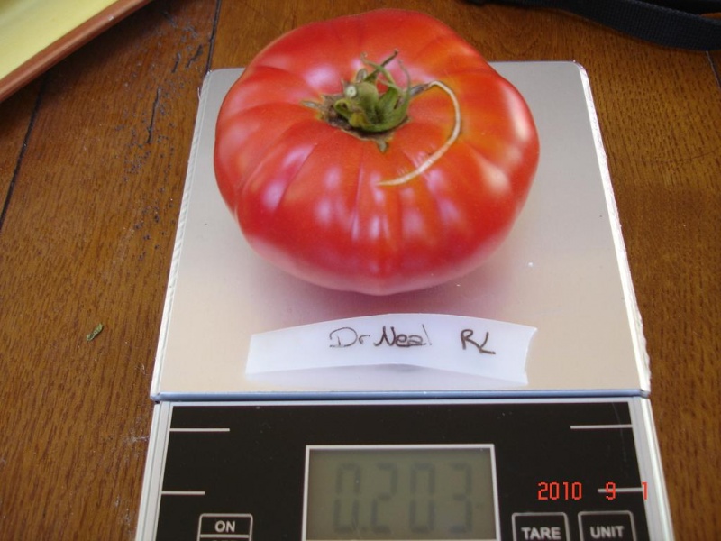 Fichier:Tomate general grant.jpg