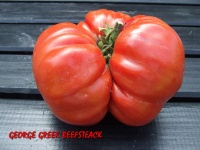 Tomate george greek beefsteack.jpg