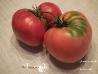 Tomate german head.jpg