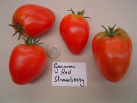 Tomate german red strawberry.jpg