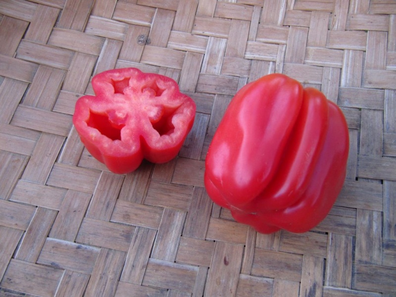 Fichier:Tomate gezahnte-1.jpg