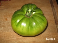 Tomate grandma oliver s green.jpg