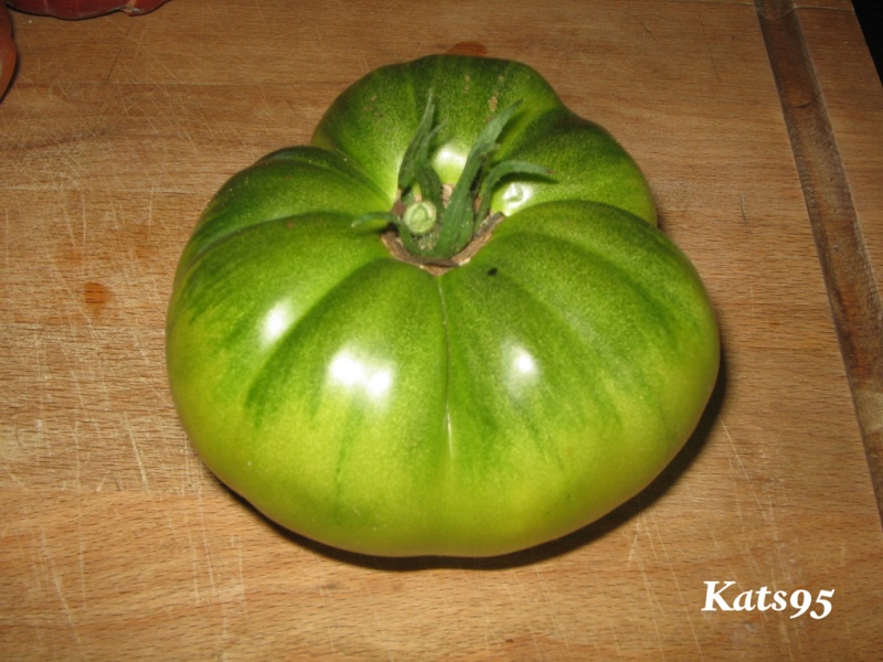 Fichier:Tomate grandma oliver s green.jpg