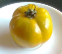 Tomate green bell pepper-2.jpg
