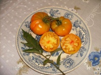 Tomate joyau d oaxaca-2.jpg