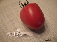 Tomate kalman s hungarian pink-2.jpg