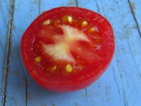 Tomate lycopersicon melanocarpa-2.jpg