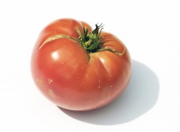 Tomate maguy-1.jpg