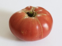 Tomate maguy.jpg