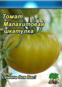 Tomate malakhitovaya shkatulka-1.jpg