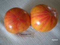 Tomate mandarin cross.jpg