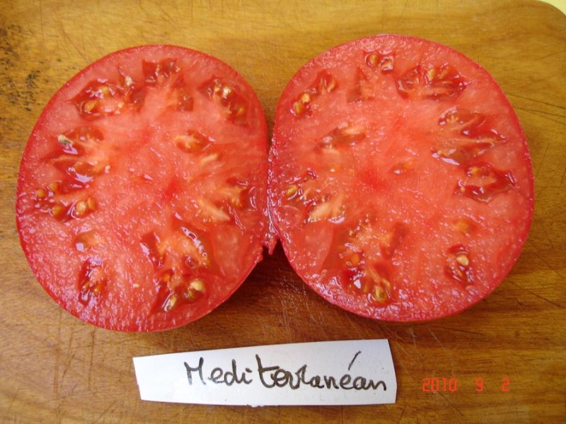 Fichier:Tomate mediterranean.jpg