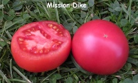 Tomate mission dike.jpg