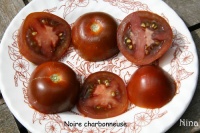 Tomate noire charbonneuse.jpg
