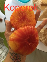 Tomate olympic flame.jpg