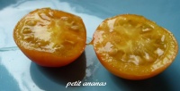 Tomate petit ananas-1.jpg