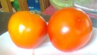 Tomate petit ananas-2.jpg