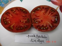 Tomate pink berkeley tie die-2.jpg