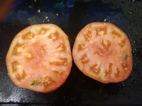Tomate platense-2.jpg