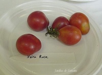 Tomate poire rose.jpg
