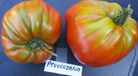 Tomate provenzano.jpg