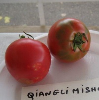 Tomate qianglimishou-1.jpg