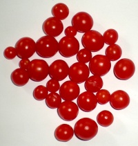 Tomate red currant-2.jpg