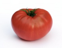 Tomate ribera del ebro.jpg