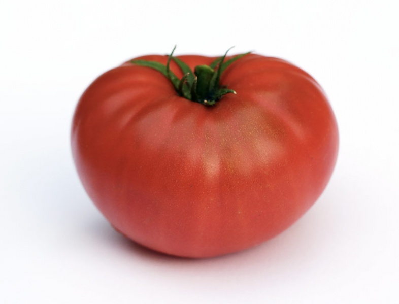 Fichier:Tomate ribera del ebro.jpg