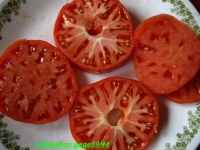 Tomate richardson-1.jpg