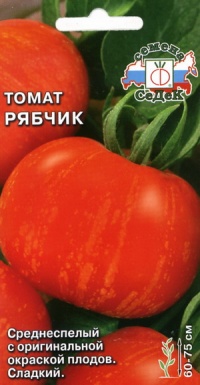 Tomate rjabtšik-1.jpg