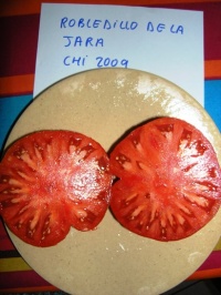 Tomate robledillo de la jara-1.jpg