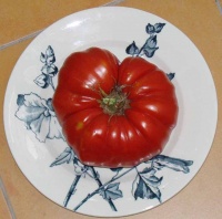 Tomate russe rouge-1.jpg