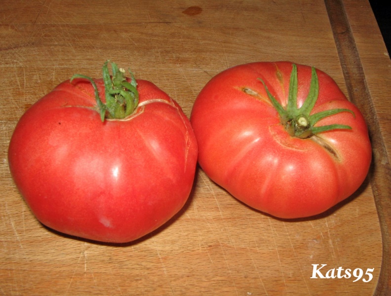 Fichier:Tomate sandul moldovan-1.jpg