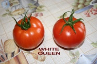 Tomate schnellfruchtende aus wirowsk-1.jpg