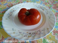 Tomate shuntukski velikan.jpg