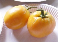 Tomate sibirishe orange-1.jpg