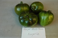 Tomate surpriz-2.jpg