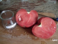Tomate sylvan gaume op-2.jpg
