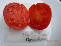 Tomate tatar from mongolstan-2.jpg