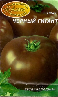 Tomate tchyornyi gigant-1.jpg