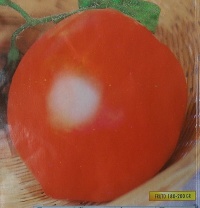 Tomate valenciano-1.jpg