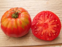 Tomate wood s famous brimmer-2.jpg