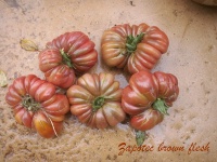 Tomate zapotec brown flesch.jpg
