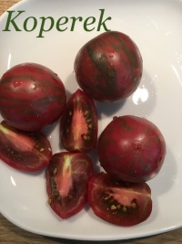 Vernissage Black-1.jpg