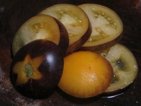 Woolly kate yellow-2.jpg